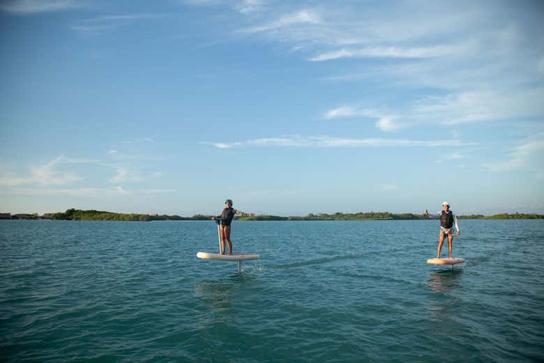 ¡Será una experiencia divertida!