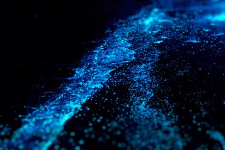 Las aguas brillan debido al plancton luminiscente