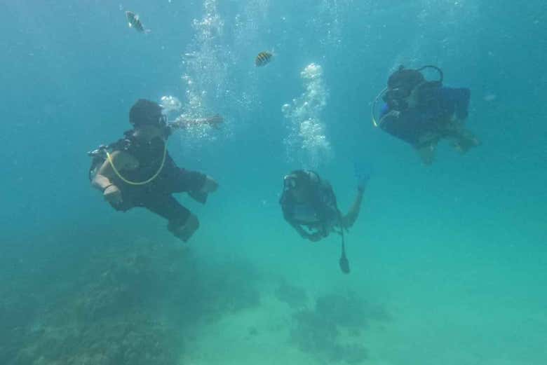 Observando qué oculta el mar bajo el agua