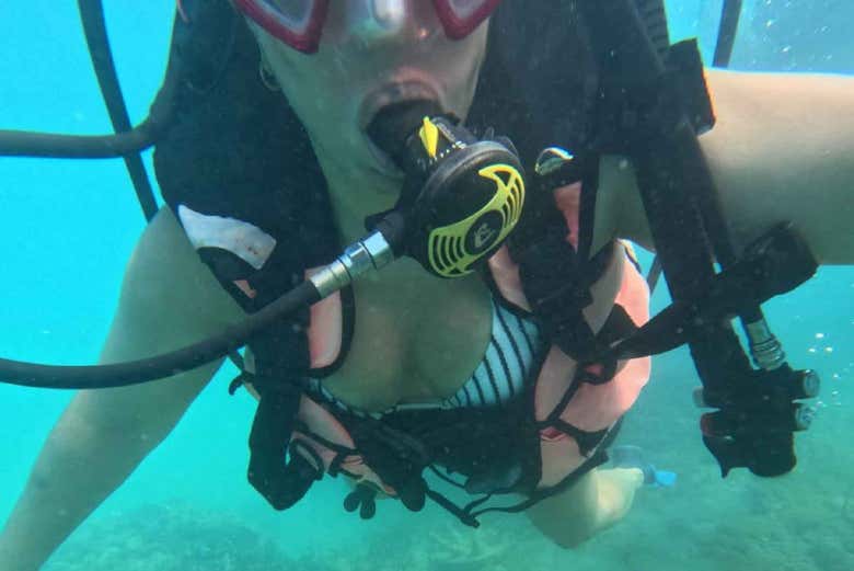 Os proporcionaremos todo el equipo