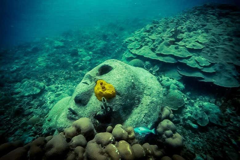 Explore a sunken ship