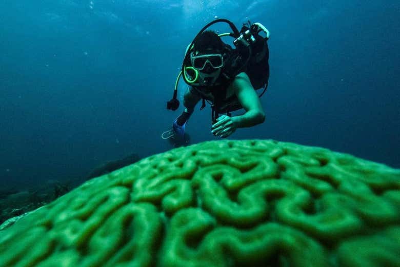 Check out the amazing marine life