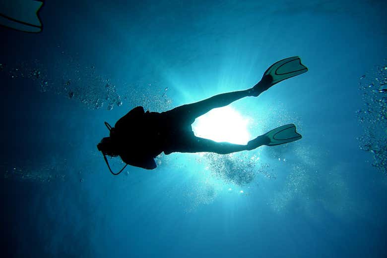 Nadando bajo el mar