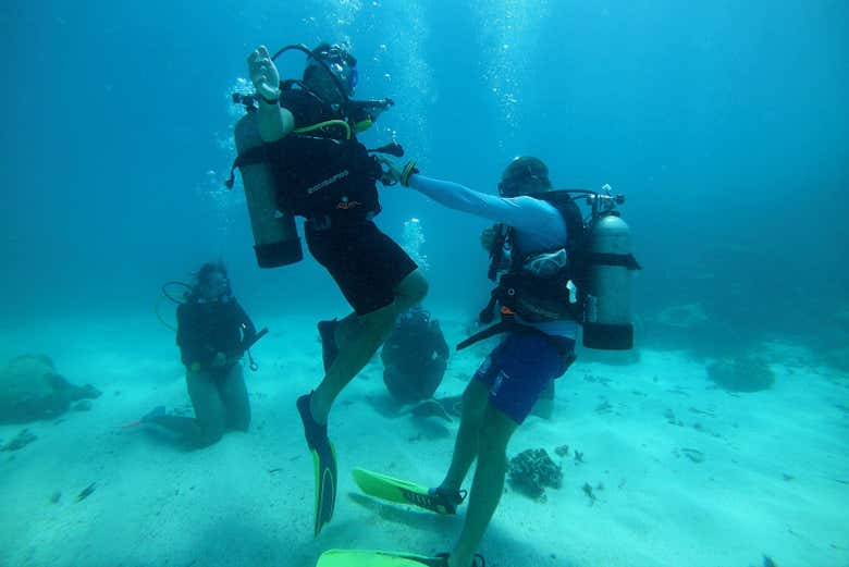 Siguiendo las indicaciones del instructor