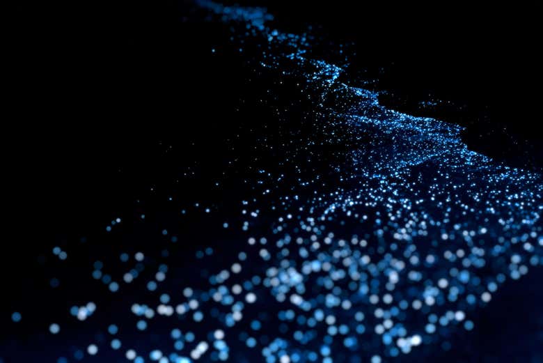 Plankton glowing on the shore
