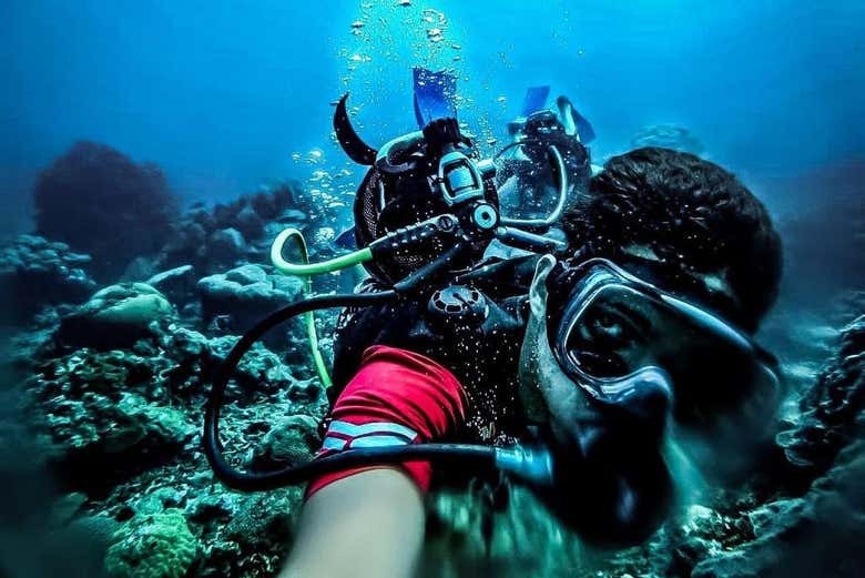 Sintiéndonos como peces en el agua