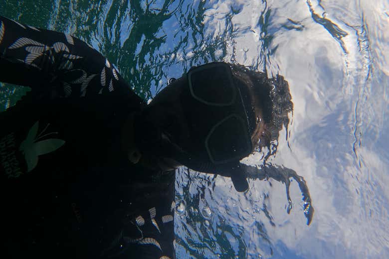 Aguas cristalinas, ideales para hacer snorkel