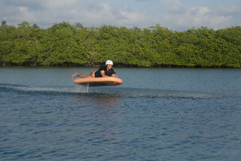 Nos acercaremos a los manglares