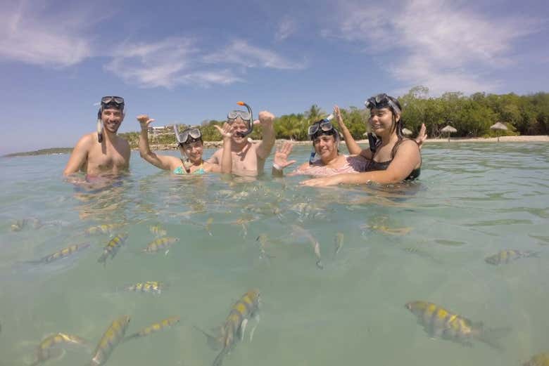 Cinco personas en la superficie rodeados de peces