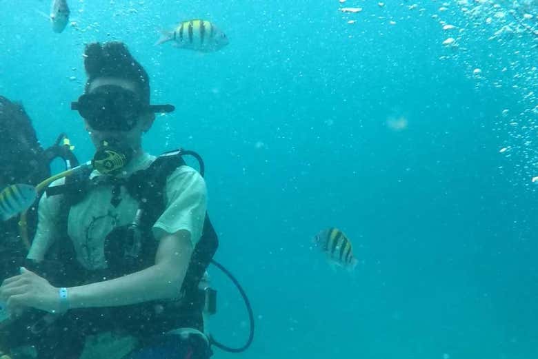 Learning how to scuba dive in Baru