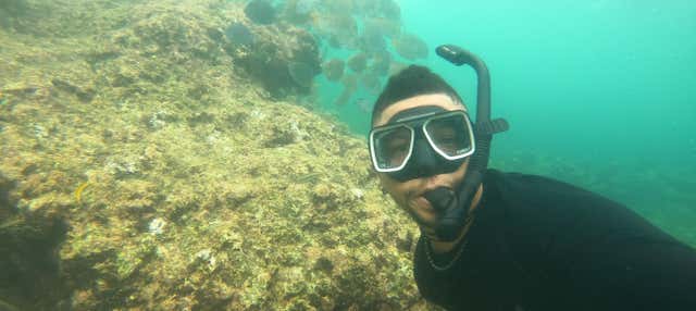 Snorkelling in Baru