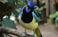 Excursão ao Bioparque La Reserva