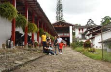 Excursión privada a la hacienda Casablanca, la finca de Café con aroma de mujer