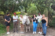 Excursion à Nocaima et La Vega + Exploitation de canne à sucre El Bambú