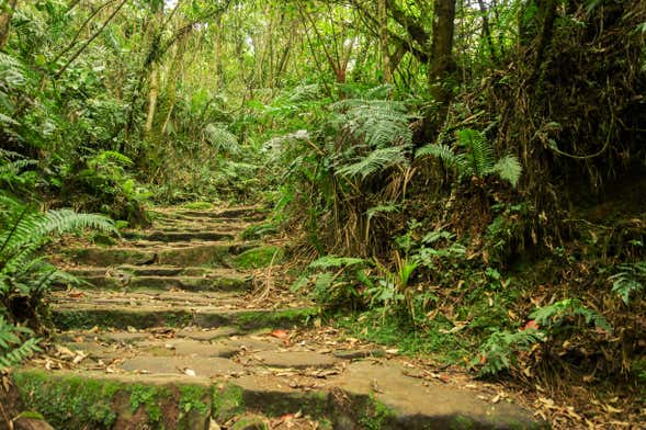 Day Trip to Chicaque Natural Park