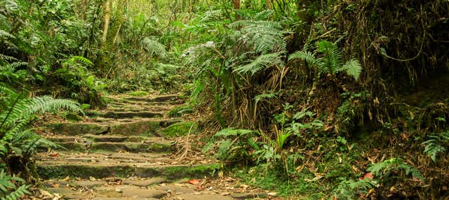 Day Trip to Chicaque Natural Park