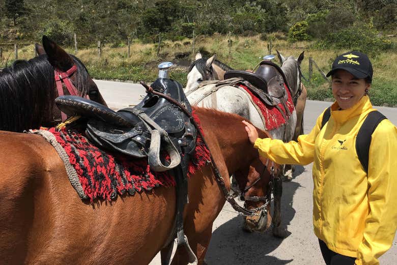 Acariciando um dos cavalos