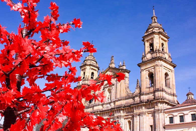La Catedral Primada de Colombia