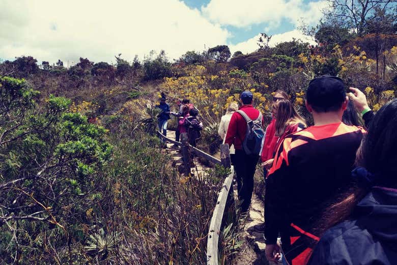 Camino a la Laguna de Guatavita
