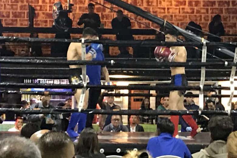 Viendo un combate en directo