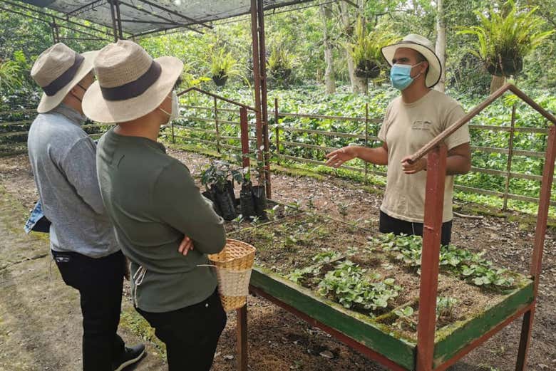 Learning all about Colombian coffee