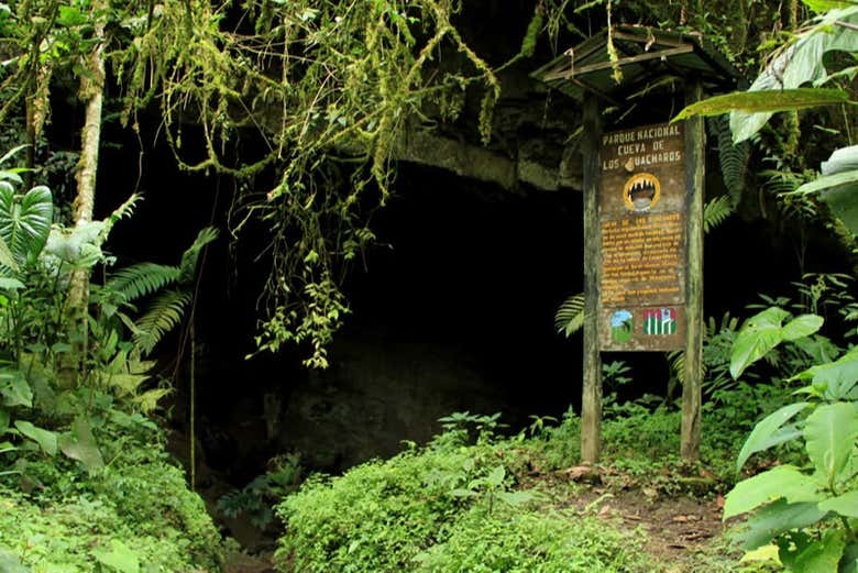 Conhecendo a paisagem natural