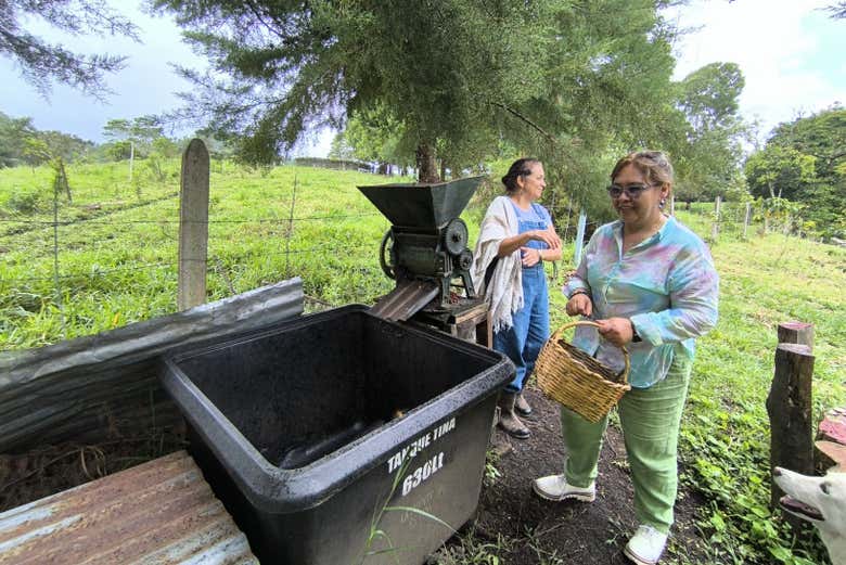 Aprenderemos sobre o processo do café em várias etapas