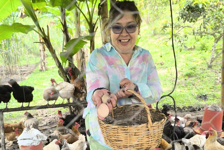 Conhecendo os animais da fazenda