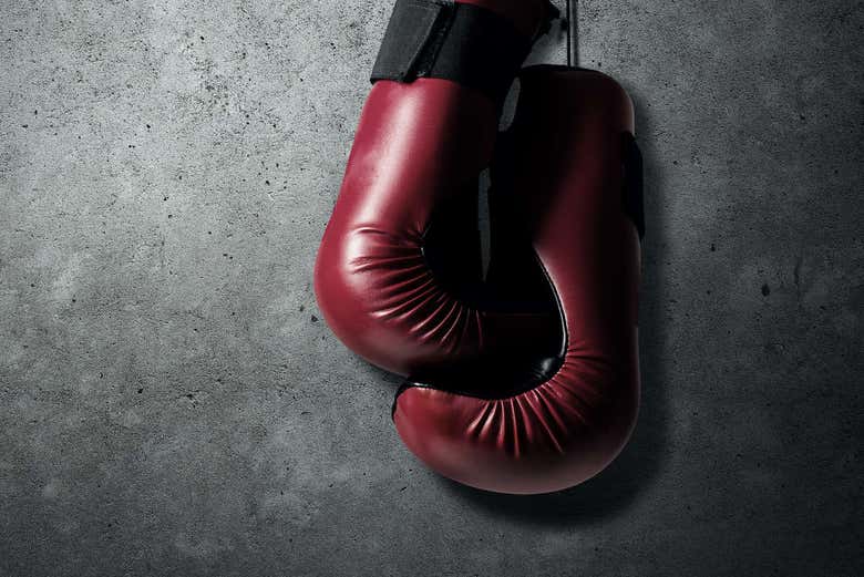 Boxing gloves