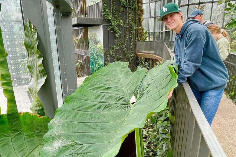 Un joven posando junto a una enorme hoja del Jardín Botánico