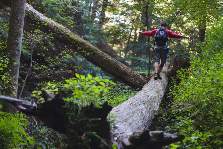 Be one with nature