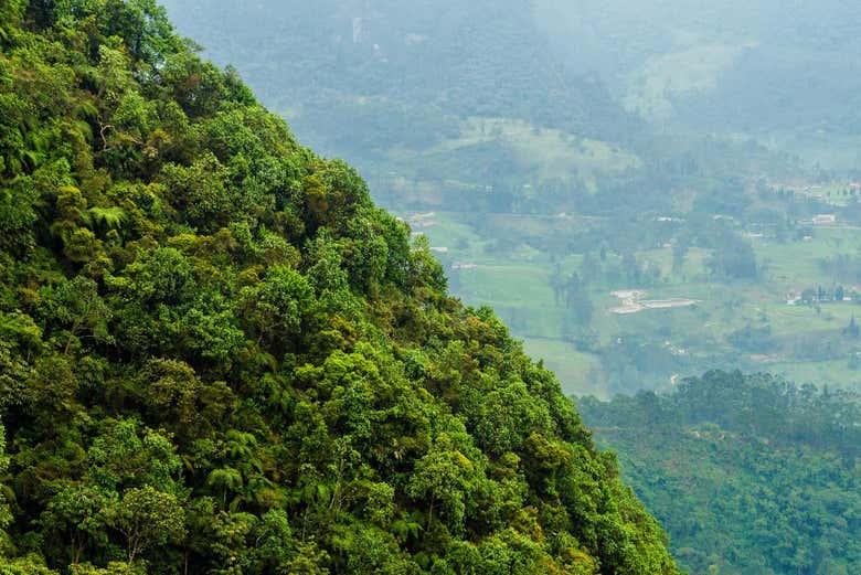 Paisagens do Parque Natural Chicaque