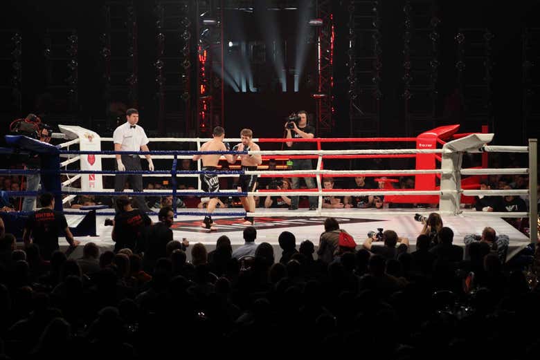 Ring de boxeo profesional
