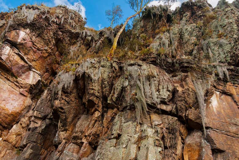 Rocas de Suesca