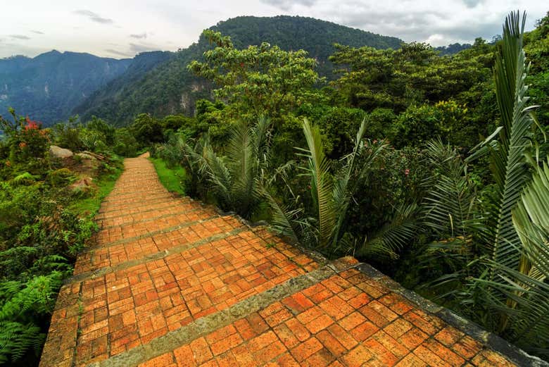 Walk through Chicaque Natural Park