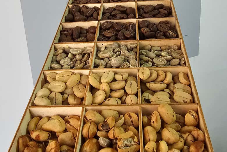 Diferentes granos de café