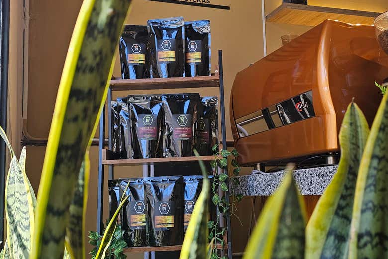 La diferentes variedades de café que conoceremos