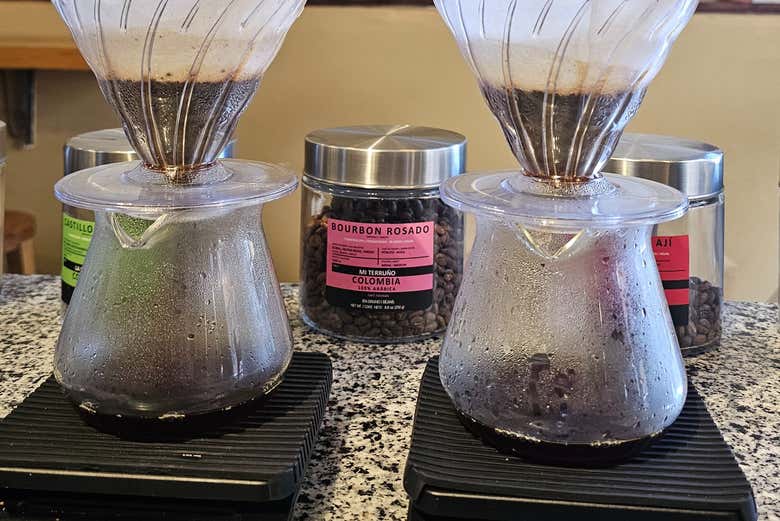 Conociendo los secretos del café Bourbon Rosado 