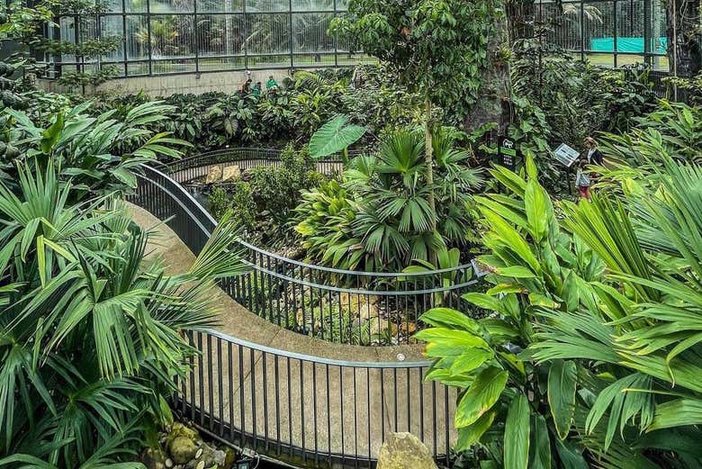 Conoceréis el hogar de más de 27000 tipos de plantas