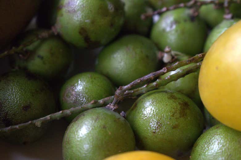 Un conjunto de mamoncillos en primer plano
