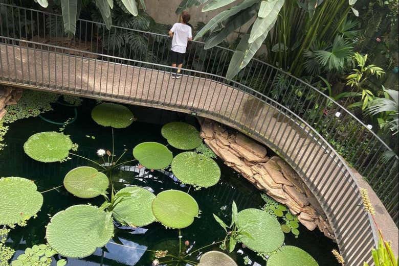 Veréis la diversidad de vegetación colombiana