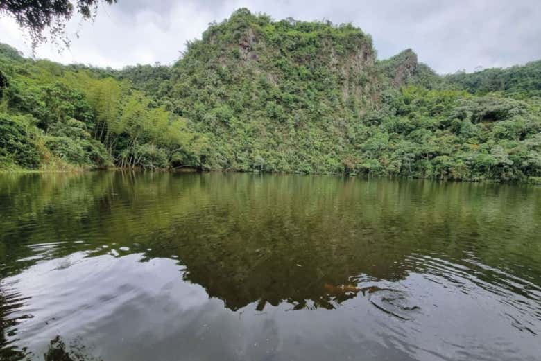 Laguna El Tabacal cercada por vegetação