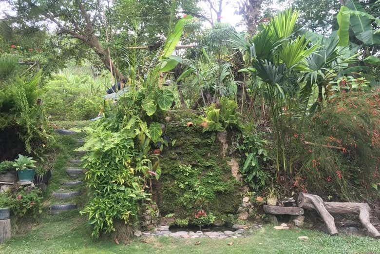 Connect with nature in Nocaima and La Vega!