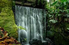 Tour por el Jardín Botánico de Bogotá