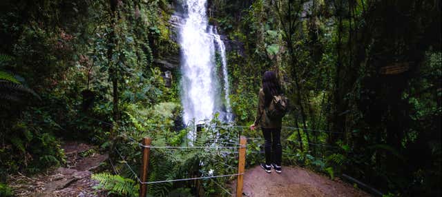 La Chorrera Waterfall Hike