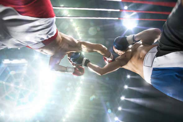 Bogotá Boxing Match