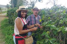 Visita a la finca cafetera El Edén
