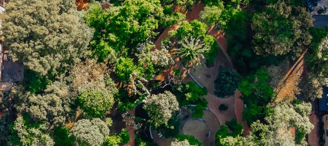 Free tour pela Comuna 12