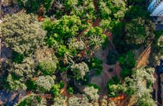 Free tour por la Comuna 12