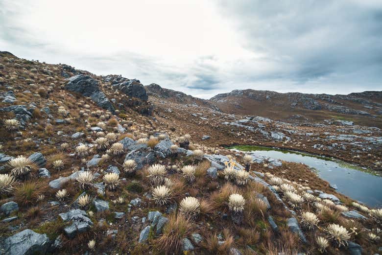 Os sorprenderá la biodiversidad de la zona